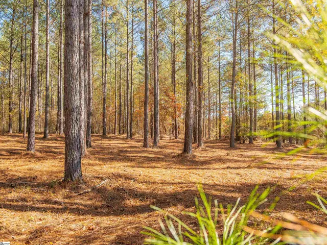 $199,999 | 7 Mill Pine Road, Liberty, SC 29657