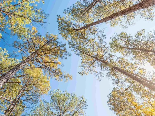 $199,999 | 7 Mill Pine Road, Liberty, SC 29657