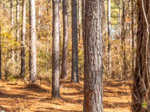 $199,999 | 7 Mill Pine Road, Liberty, SC 29657