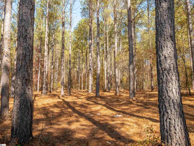 $199,999 | 7 Mill Pine Road, Liberty, SC 29657