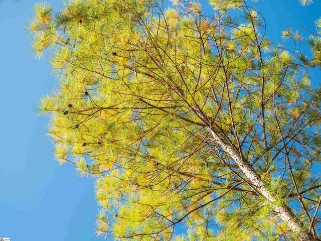 $199,999 | 7 Mill Pine Road, Liberty, SC 29657