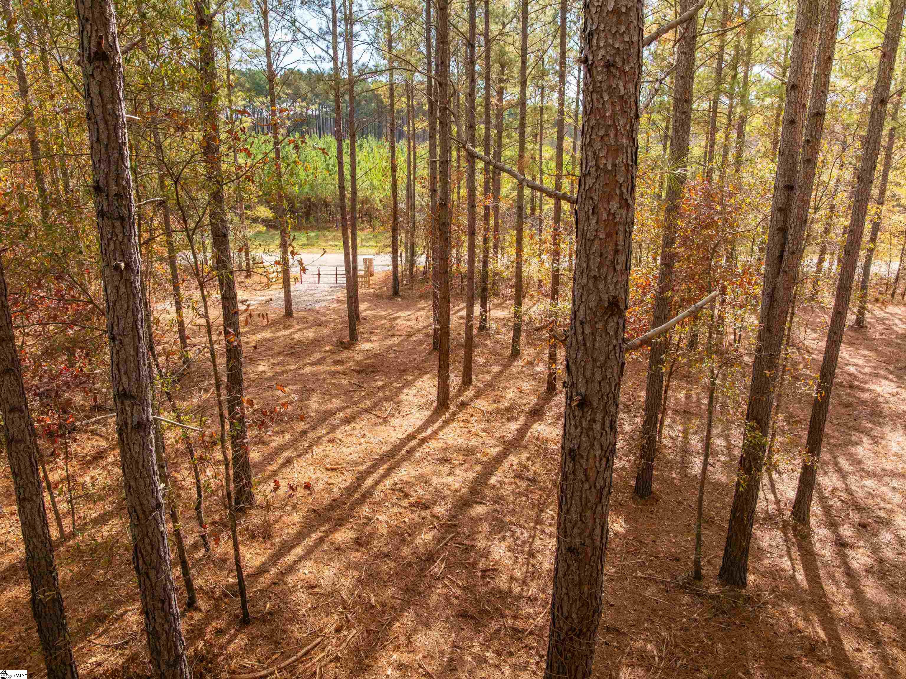 7 Mill Pine Road Liberty, SC 29657 - Photo 36 of 41 Gallery Image 36