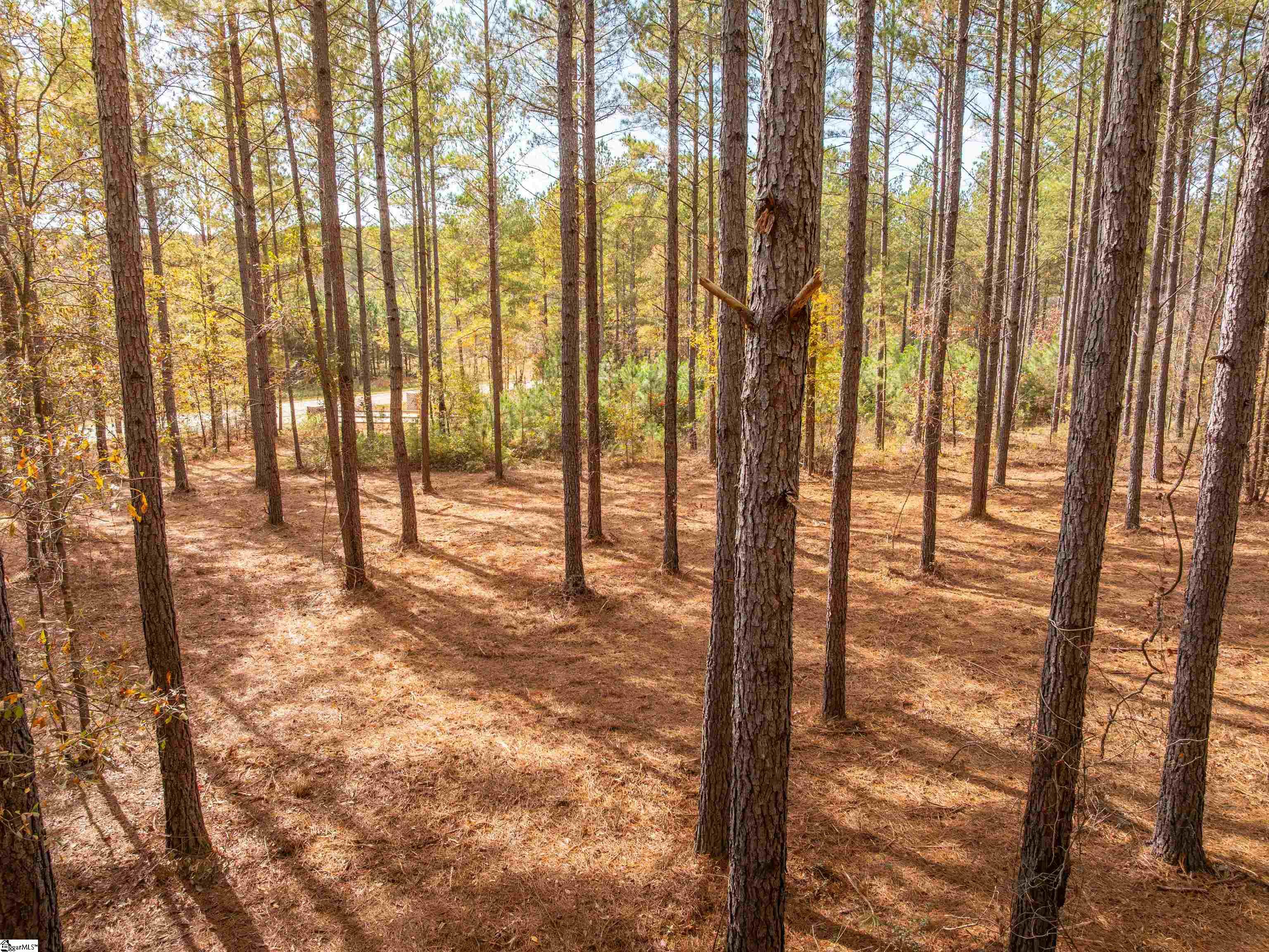 7 Mill Pine Road Liberty, SC 29657 - Photo 37 of 41 Gallery Image 37