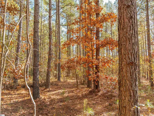 $199,999 | 7 Mill Pine Road, Liberty, SC 29657