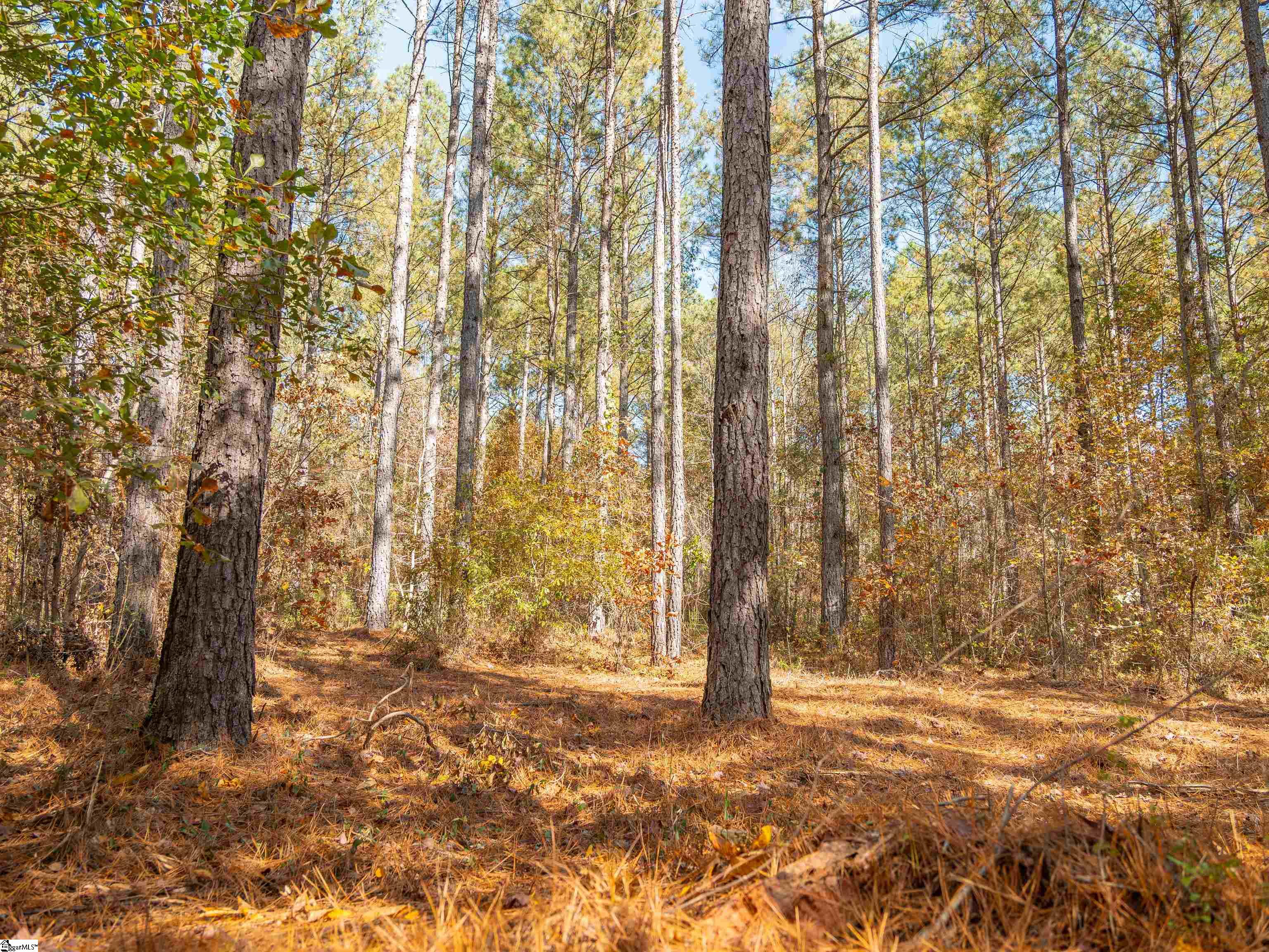 7 Mill Pine Road Liberty, SC 29657 - Photo 7 of 41 Gallery Image 7