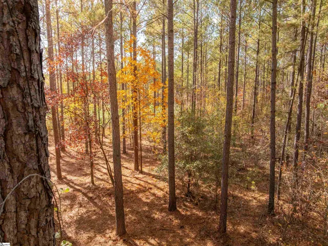 $199,999 | 7 Mill Pine Road, Liberty, SC 29657