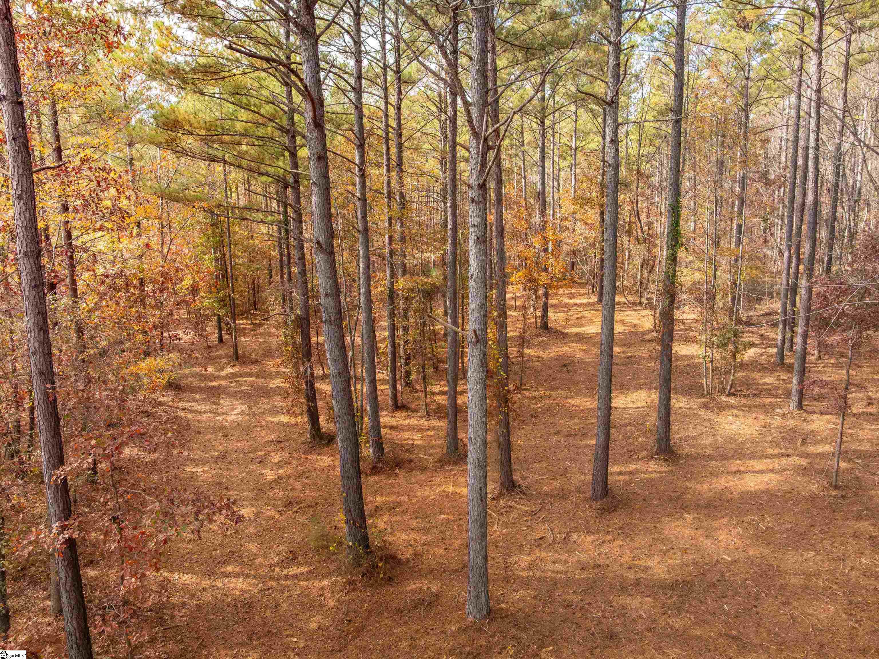7 Mill Pine Road Liberty, SC 29657 - Photo 10 of 41 Gallery Image 10