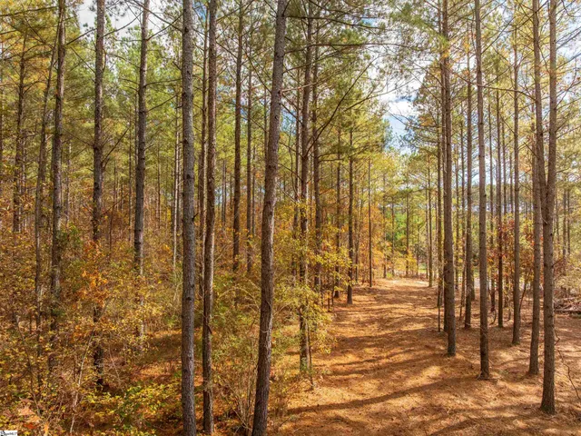 $199,999 | 7 Mill Pine Road, Liberty, SC 29657