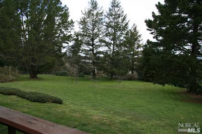 7555 Kennedy Road Sebastopol, CA 95472 - Photo 3 of 11 a view of a grassy field with trees