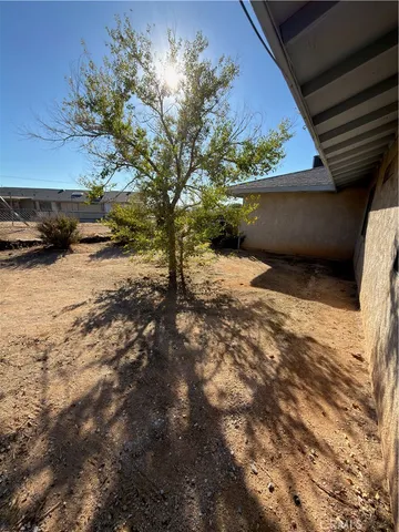 a view of backyard of the house