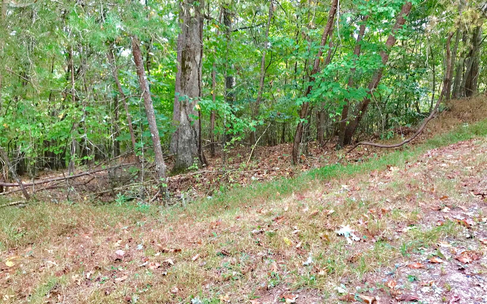 Lot35 Alcan Way Ellijay, GA 30540 - Photo 1 of 1 Main View