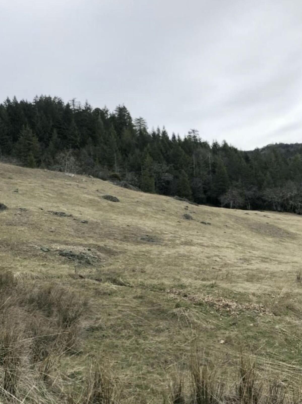 0 Buck Mountain Road Bridgeville, CA 95526 - Photo 2 of 8