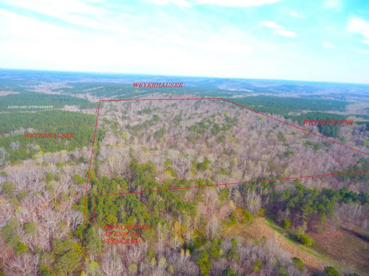 a view of an outdoor space and a yard