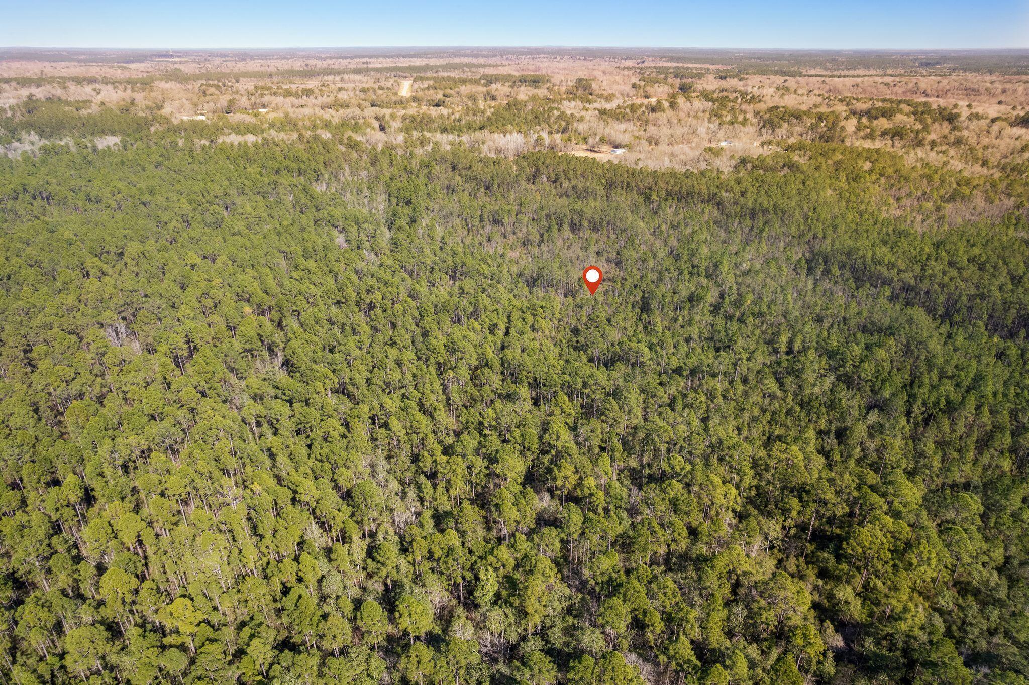 301 Woods Road Lucedale, MS 39452 - Photo 10 of 17 Woods_Road-11