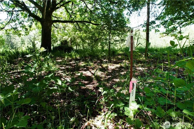 $150,000 | 324-xx 1st Avenue, Black Diamond, WA 98010