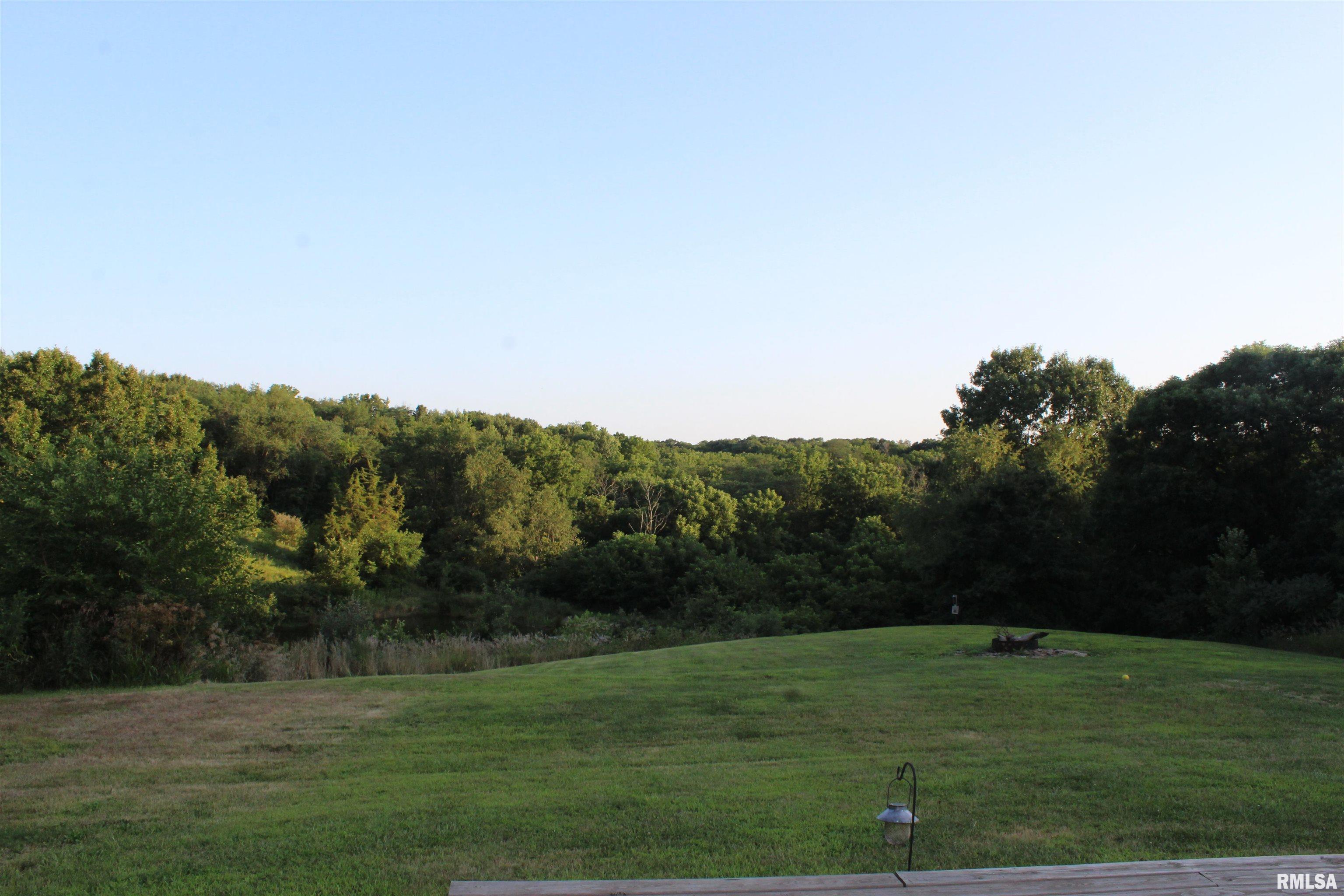 20404 West Smithville Road Trivoli, IL 61569 - Photo 11 of 62