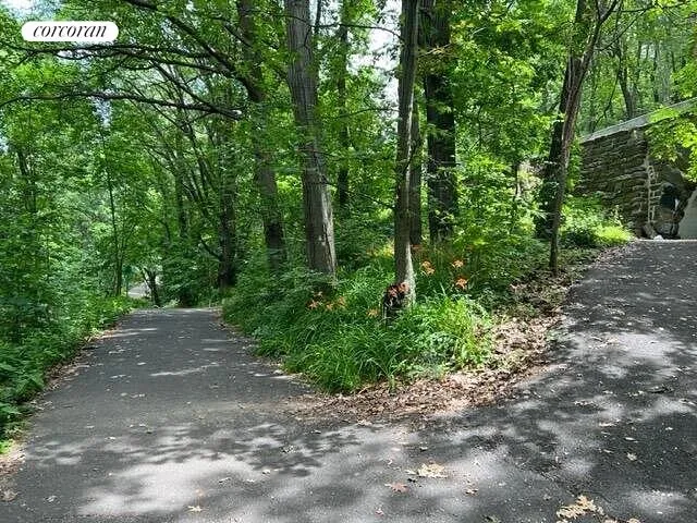 a view of a street with lots of trees