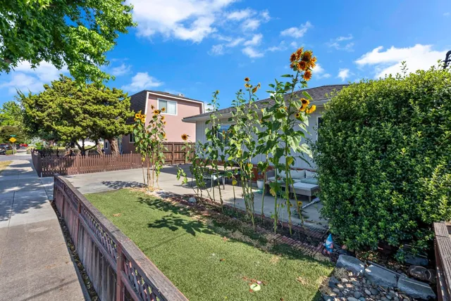 a view of a yard with plants