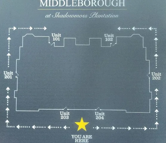 $2,295 | 300 Flowering Peach Court, Unit 204, Charleston, SC 29414