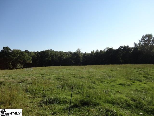 0 Southeast Concord Church Road Pickens, SC 29671 - Photo 3 of 8