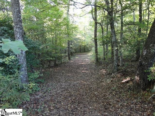 0 Southeast Concord Church Road Pickens, SC 29671 - Photo 6 of 8
