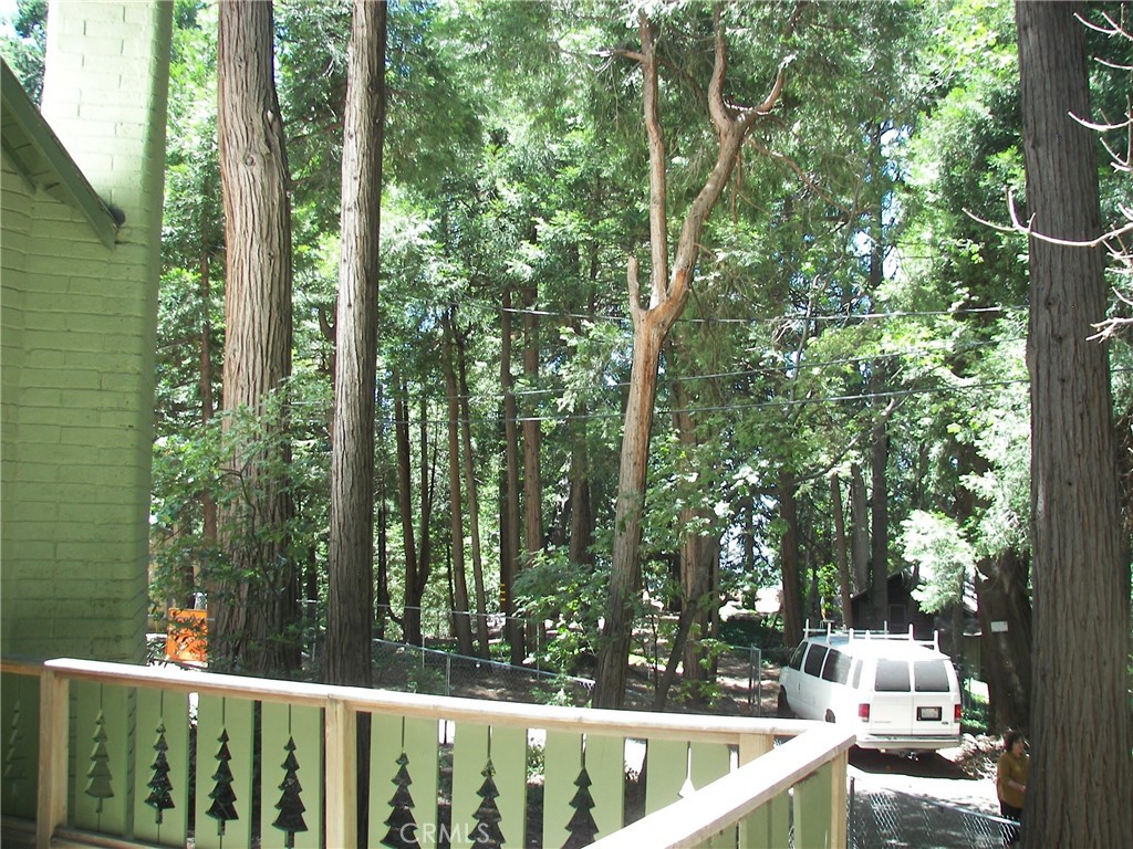 1101 Big Tree Lane Crestline, CA 92325 - Photo 29 of 30