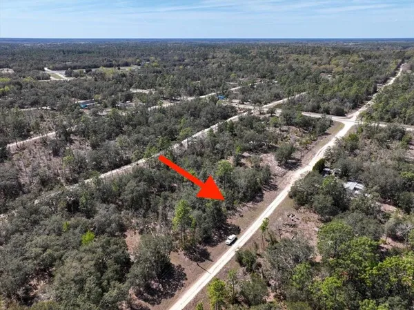 $9,000 | Northeast 65th Street, Williston, FL 32696