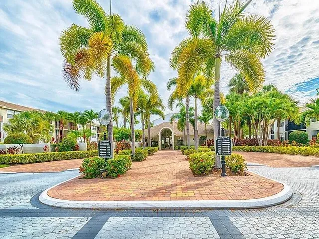 a view of a park with palm trees