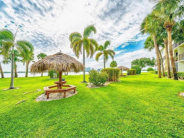 a view of a park with palm trees