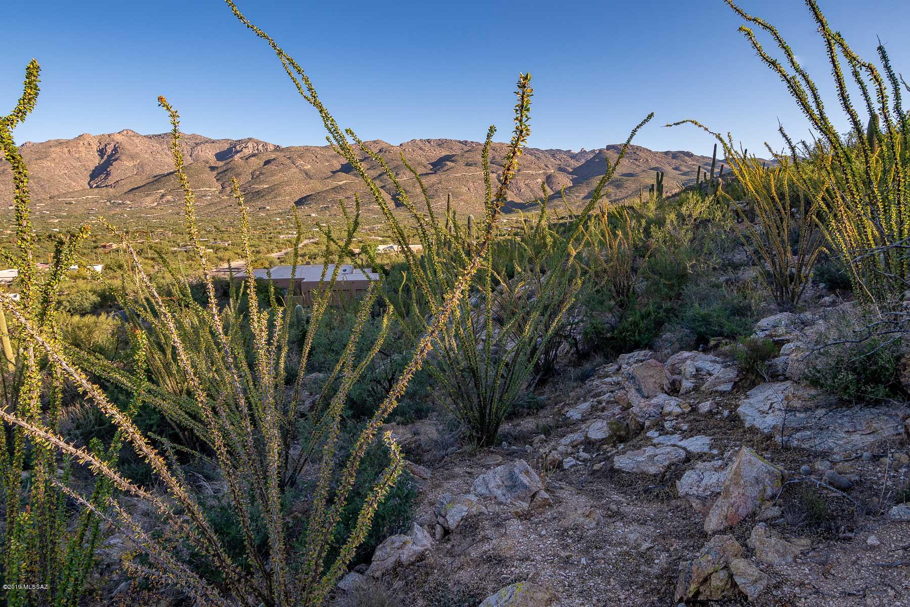 4140 Larkspur Road, Unit 79 Tucson, AZ 85749 - Photo 23 of 50 Gallery Image 23