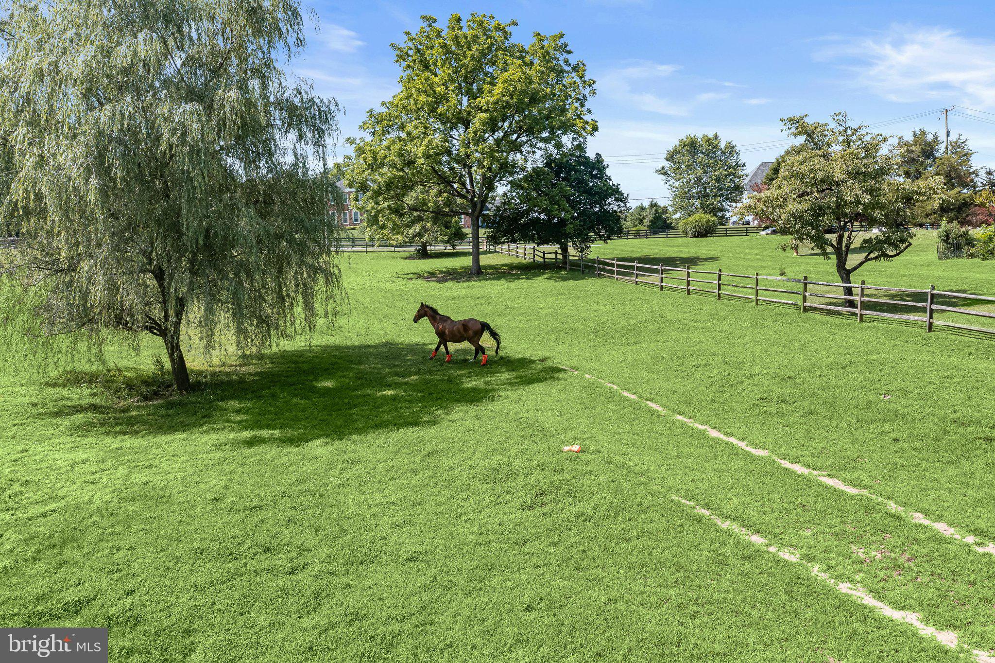 16510 Batchellors Forest Road Olney, MD 20832 - Photo 89 of 107 Aerial View Of Pasture