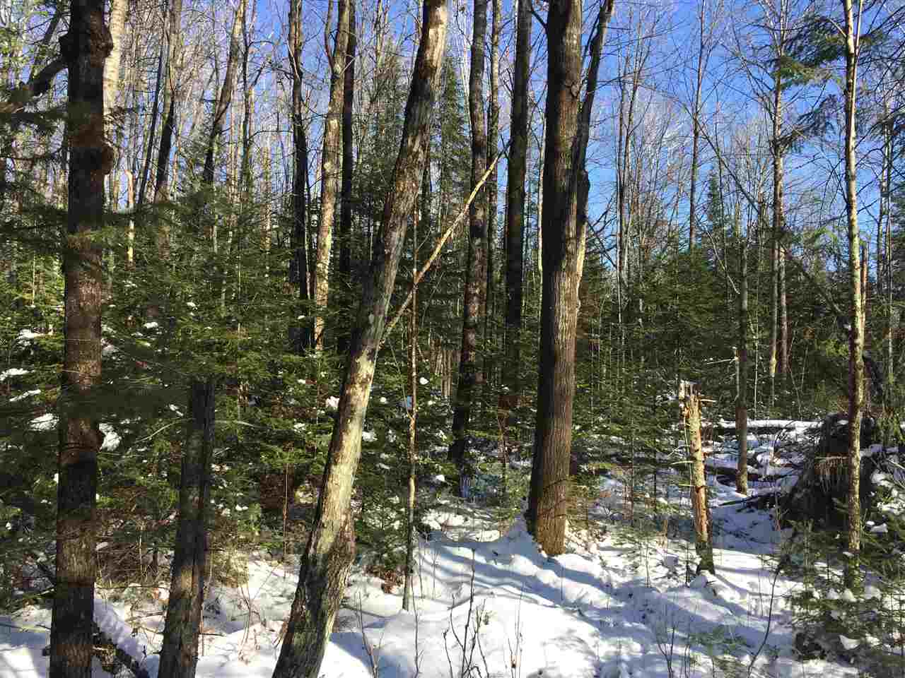 0 County Rd J Deerbrook, WI 54424 - Photo 1 of 1