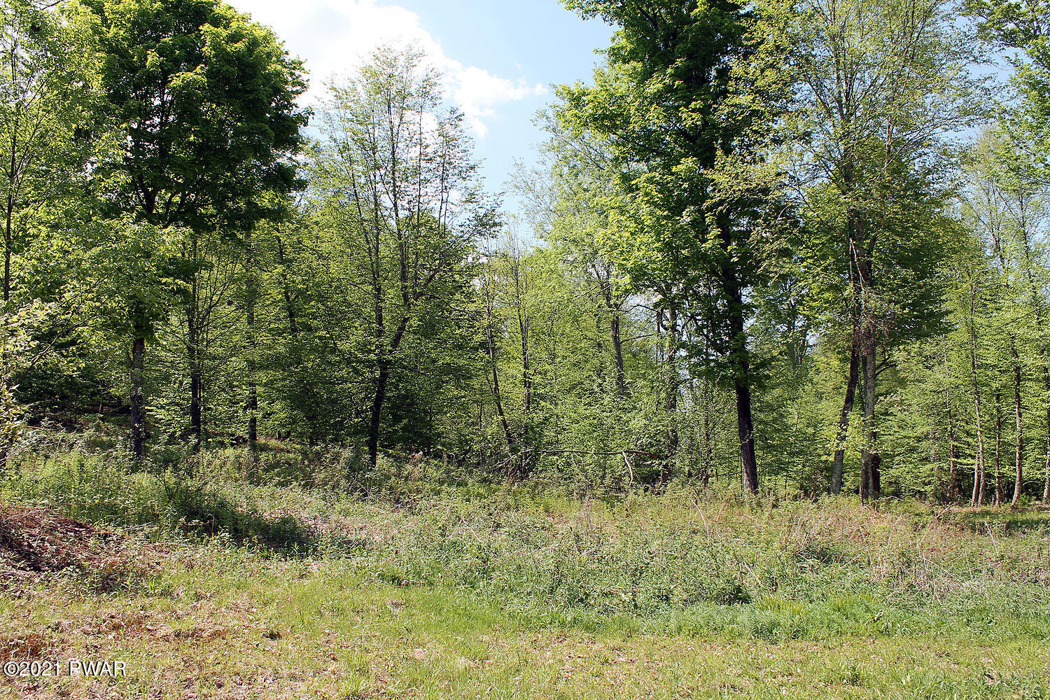 1 Robbs Road Damascus, PA 18415 - Photo 15 of 18 IMG_3528