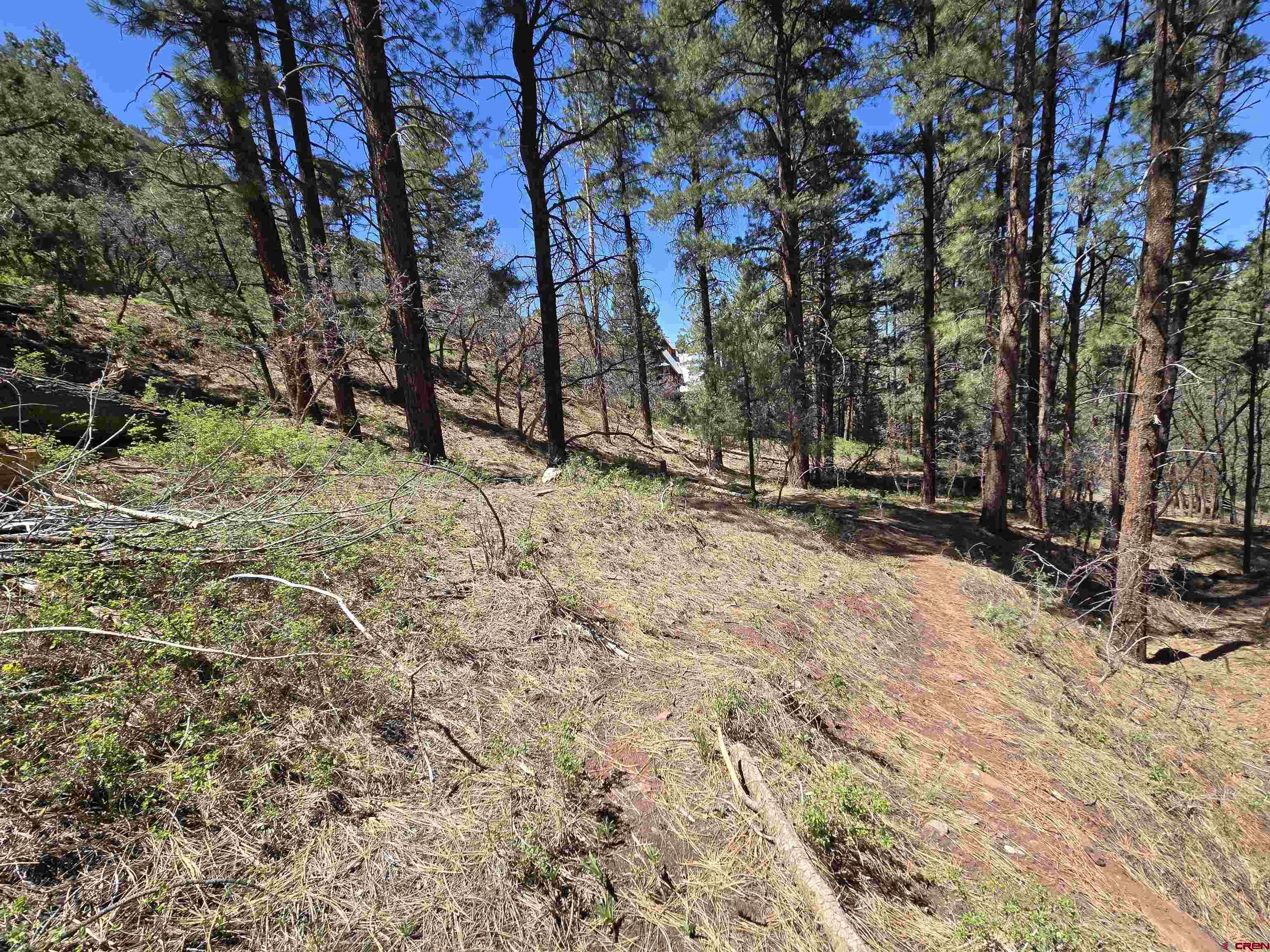 238 Pine Ridge Drive Ridgway, CO 81432 - Photo 13 of 18 a view of outdoor space with trees