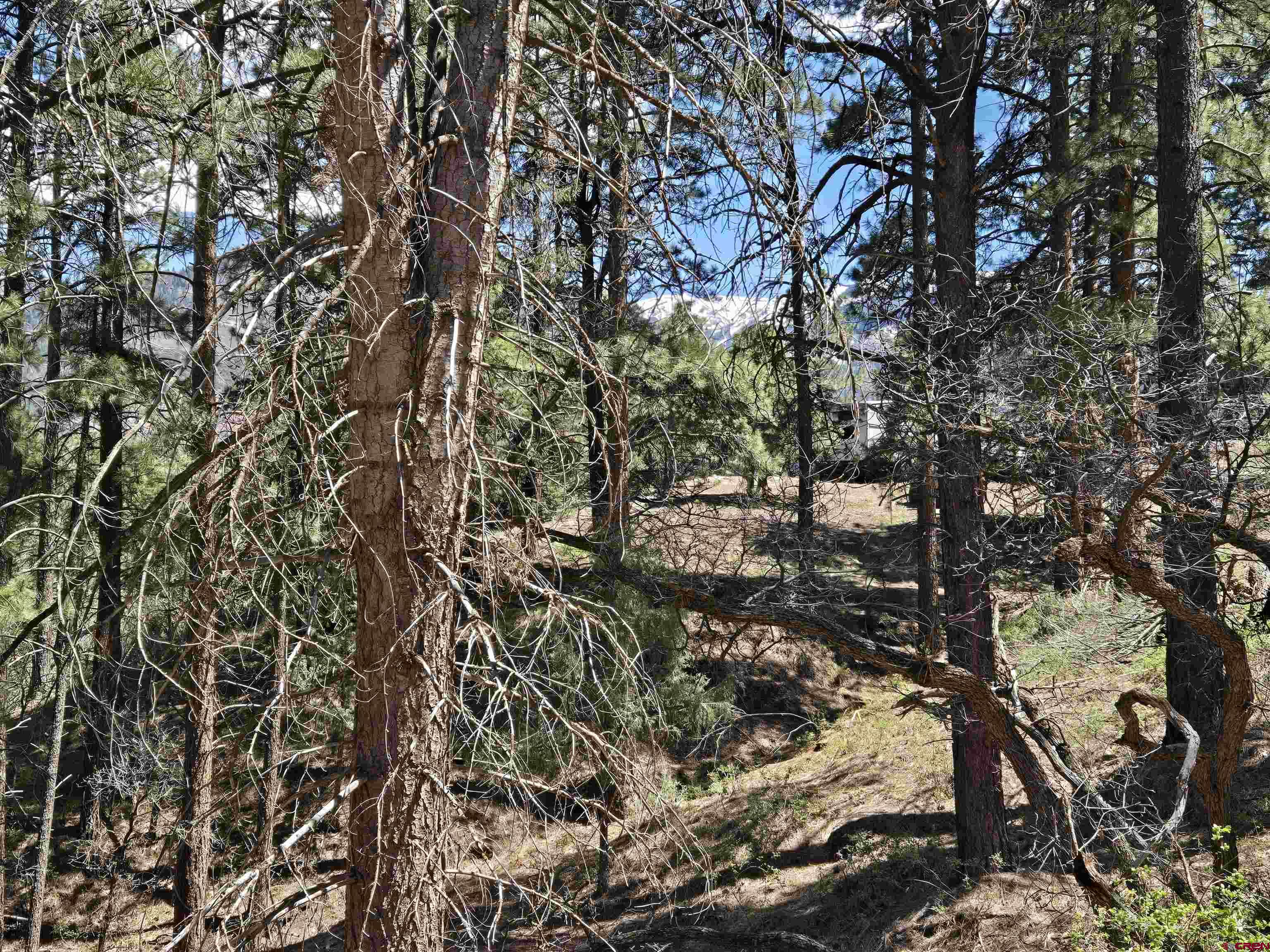 238 Pine Ridge Drive Ridgway, CO 81432 - Photo 5 of 18 a view of outdoor space