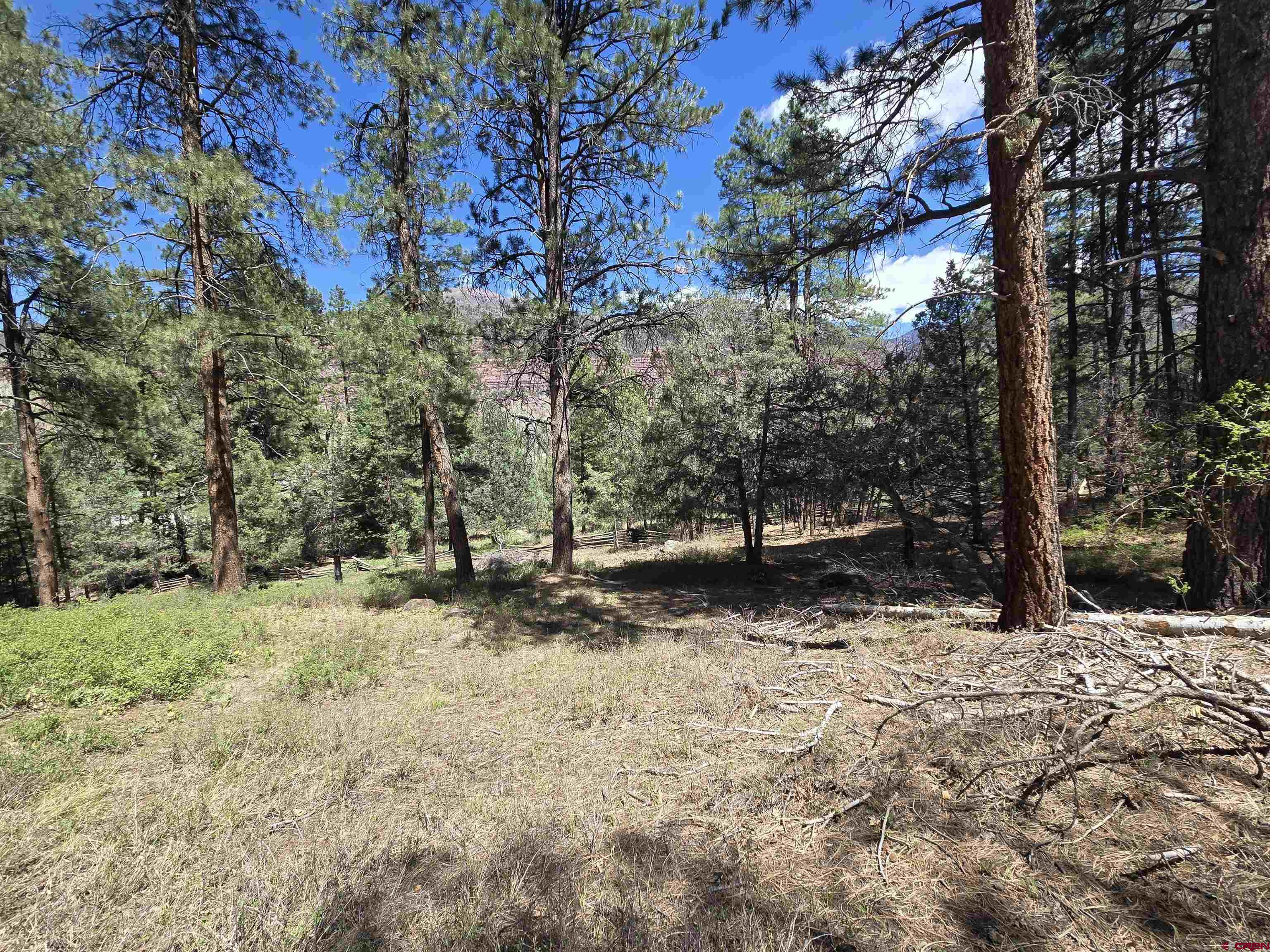 238 Pine Ridge Drive Ridgway, CO 81432 - Photo 7 of 18 a view of a tree in the middle of a yard