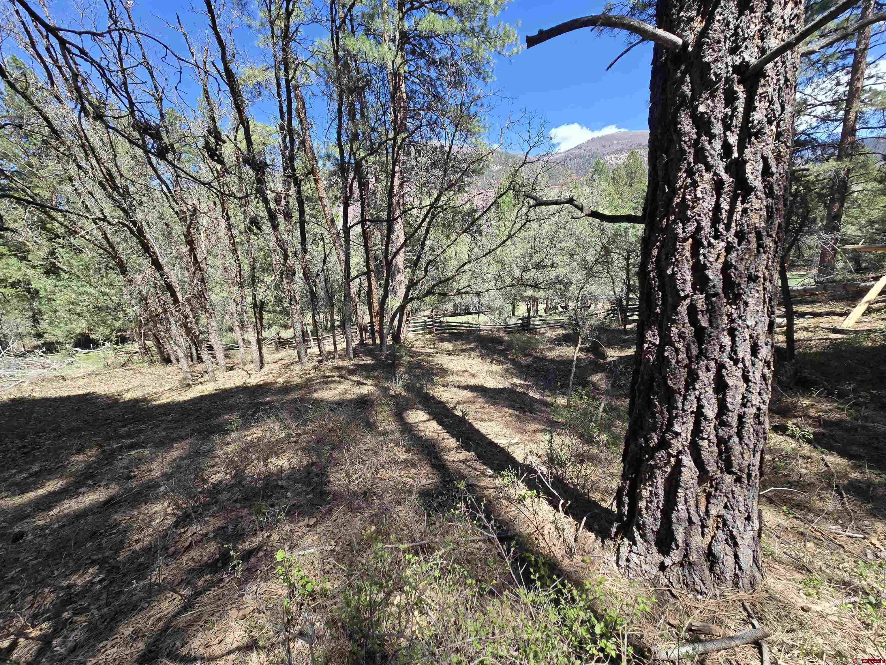 238 Pine Ridge Drive Ridgway, CO 81432 - Photo 8 of 18 a view of outdoor space and yard