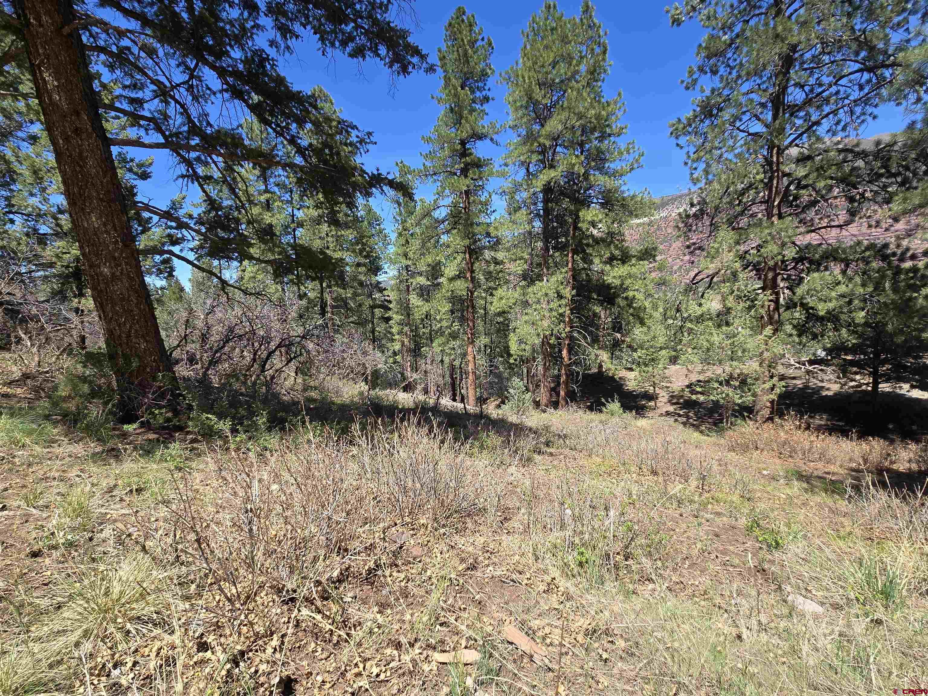238 Pine Ridge Drive Ridgway, CO 81432 - Photo 9 of 18 a view of a tree with a yard