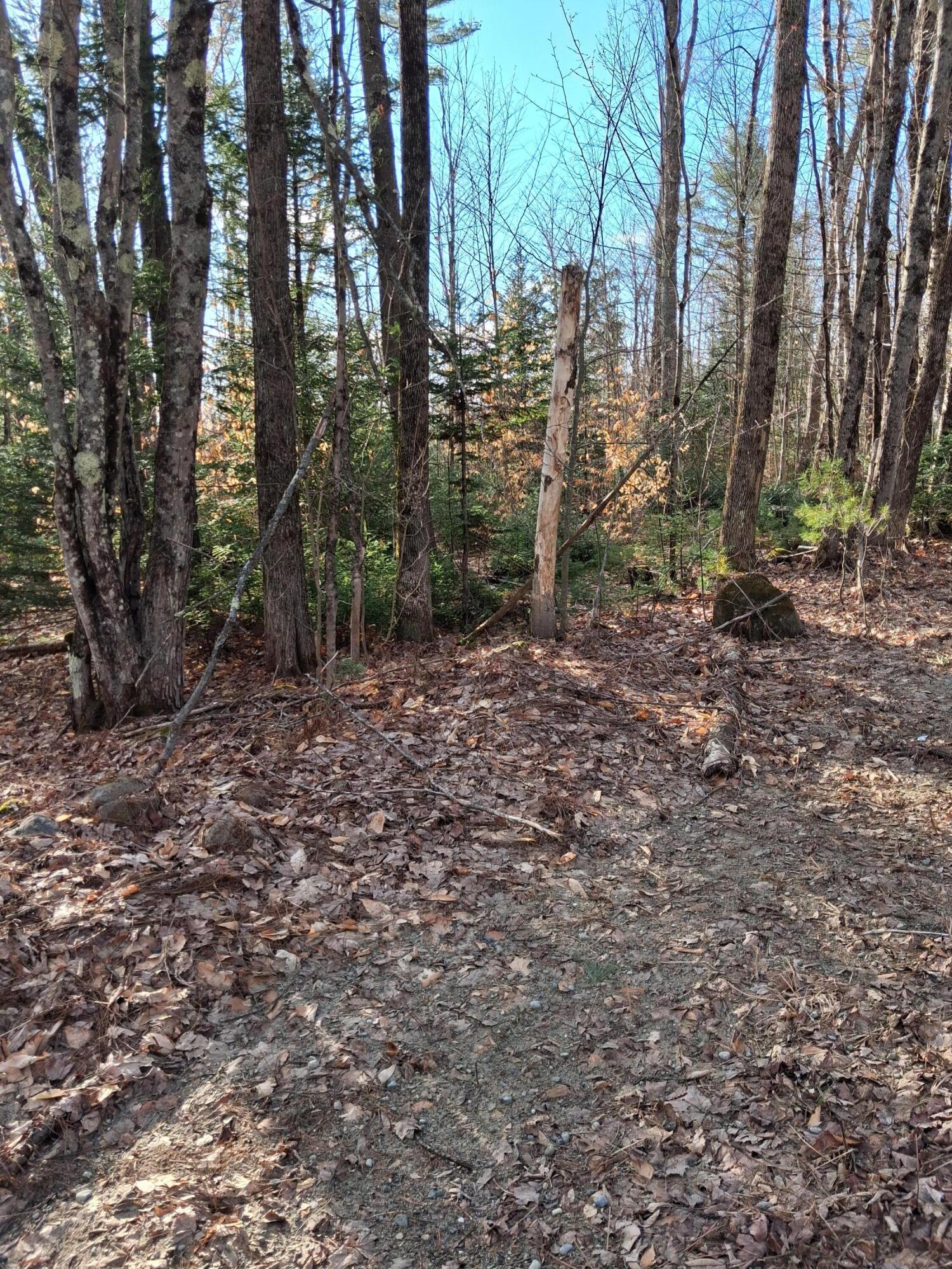 44 Zions Hill Road Chesterville, ME 04938 - Photo 3 of 8