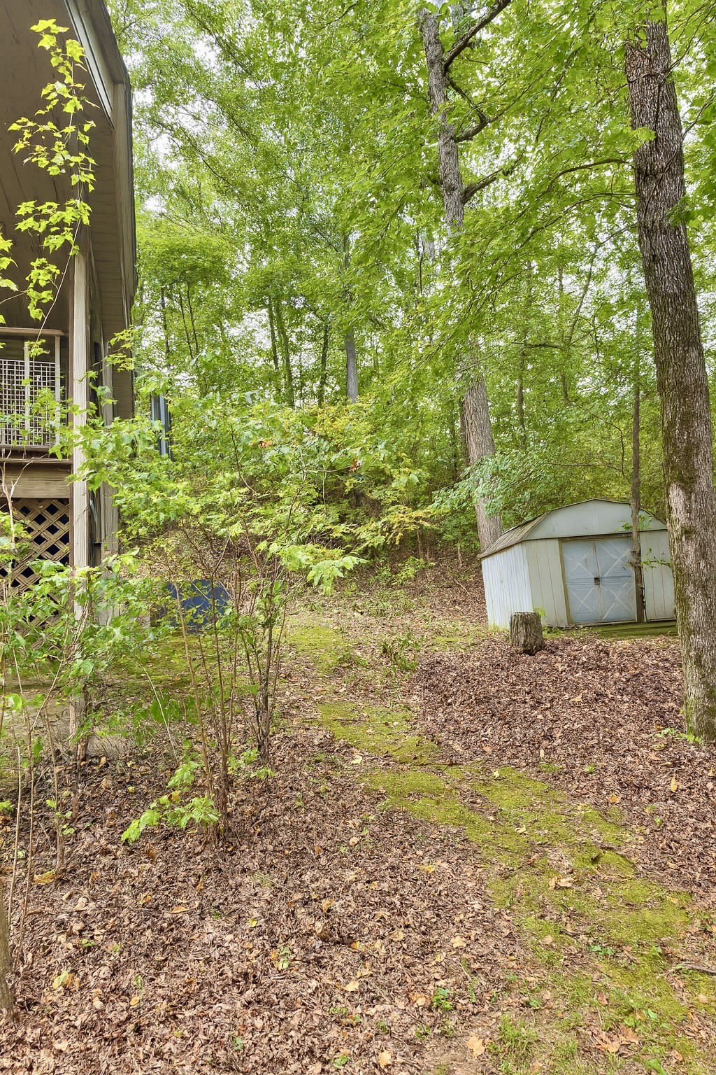 604 Beasley Hollow Road Linden, TN 37096 - Photo 11 of 26 Gallery Image 11