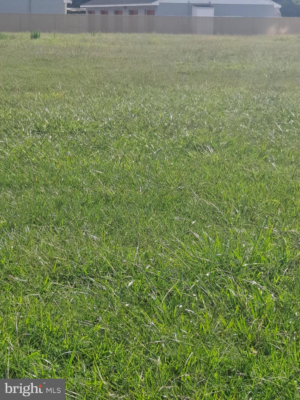 2130 Windosr Street Salisbury, MD 21801 - Photo 4 of 7 a view of a field with an outdoor space