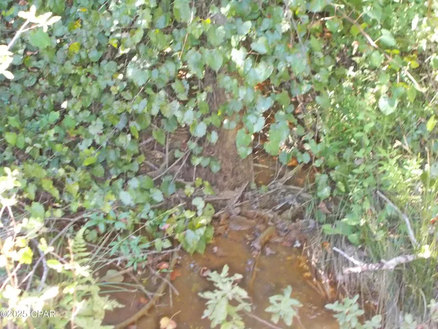 $385,000 | 702 Moonseed Lane, Chipley, FL 32428