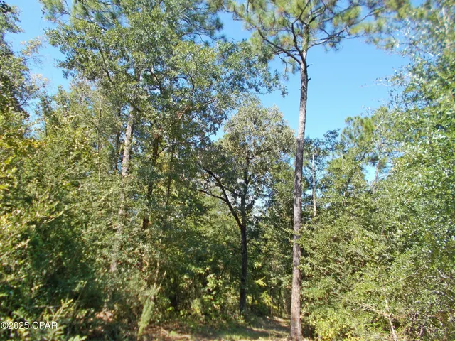 $385,000 | 702 Moonseed Lane, Chipley, FL 32428