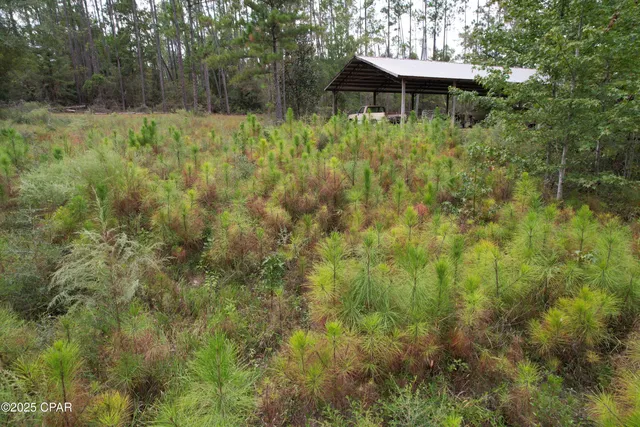 $385,000 | 702 Moonseed Lane, Chipley, FL 32428