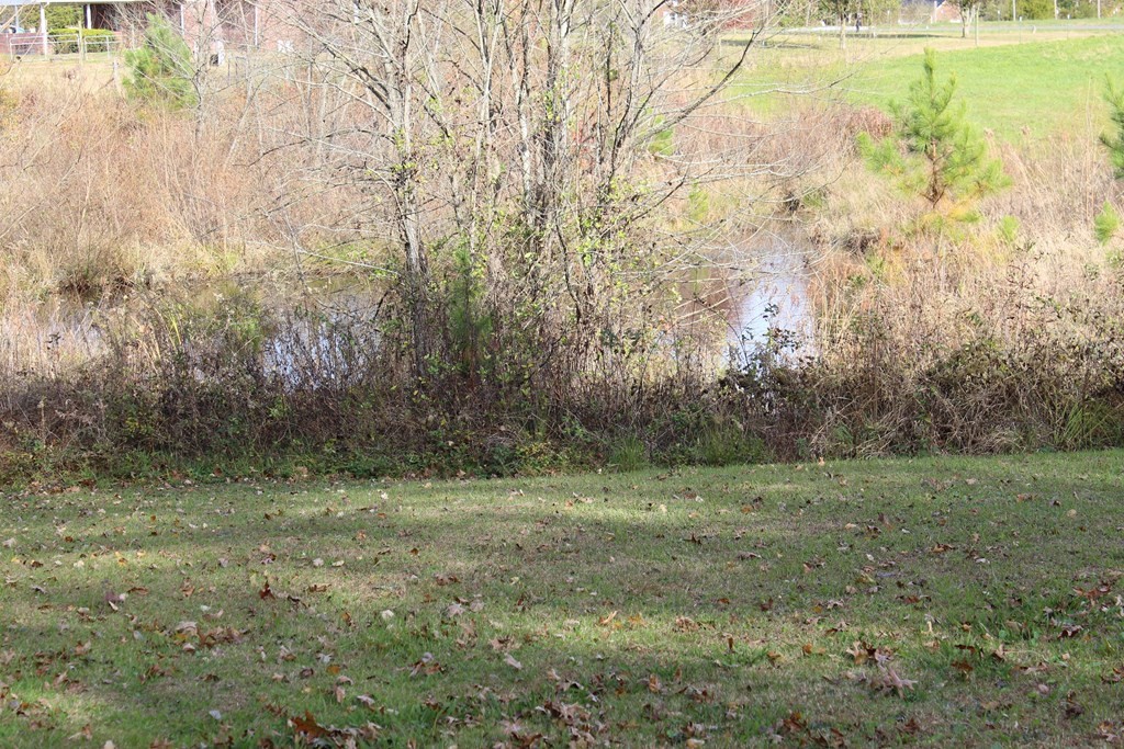 321 Benton Station Road Benton, TN 37307 - Photo 7 of 25 Gallery Image 7