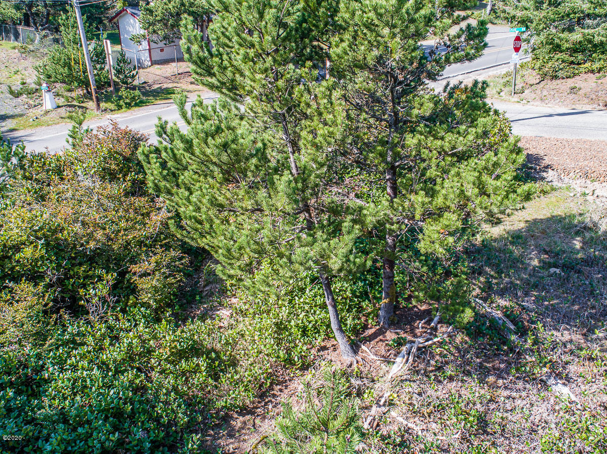 6900 Pine Road Pacific City, OR 97135 - Photo 4 of 10 TL 6900 Pine Ave_04_MLS