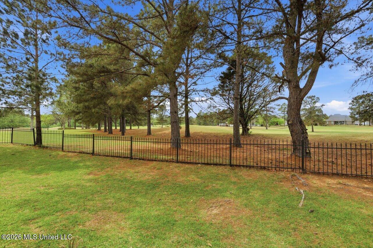 283 Caroline Boulevard Madison, MS 39110 - Photo 34 of 34 39-283 Caroline Blvd _ Home Tours MS