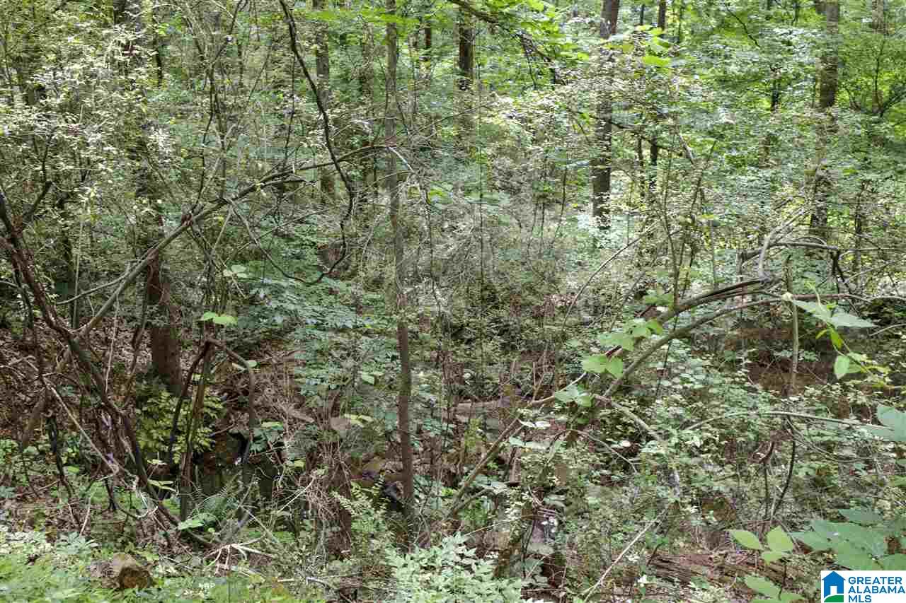 5205 Whippoorwill Road Birmingham, AL 35210 - Photo 43 of 44