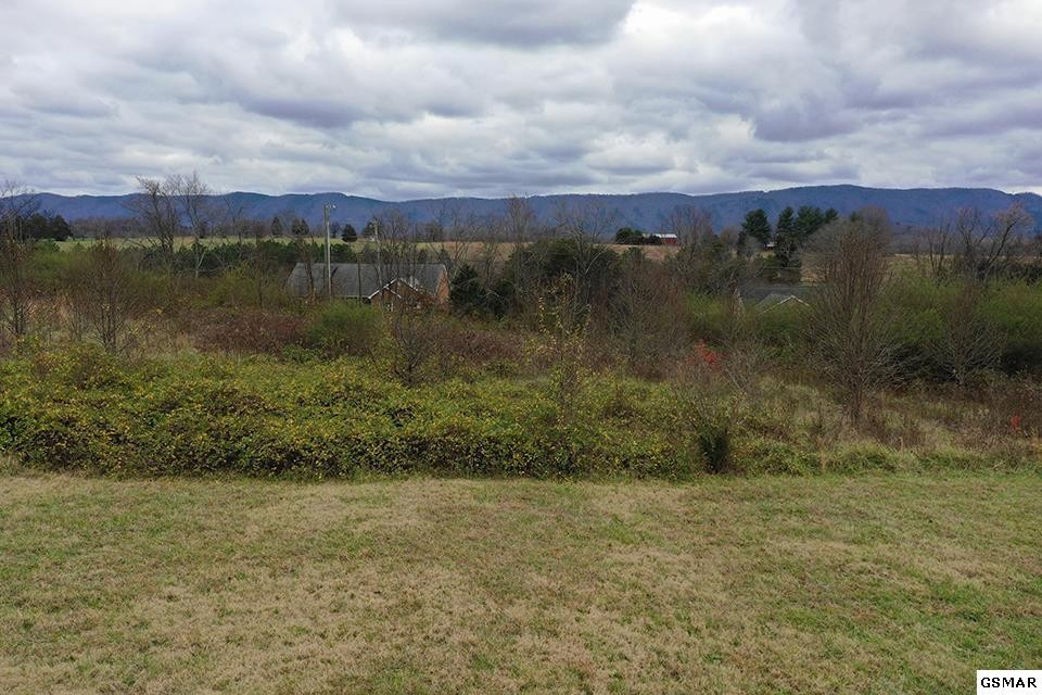 1 Mint Road Maryville, TN 37803 - Photo 6 of 11 Gallery Image 6