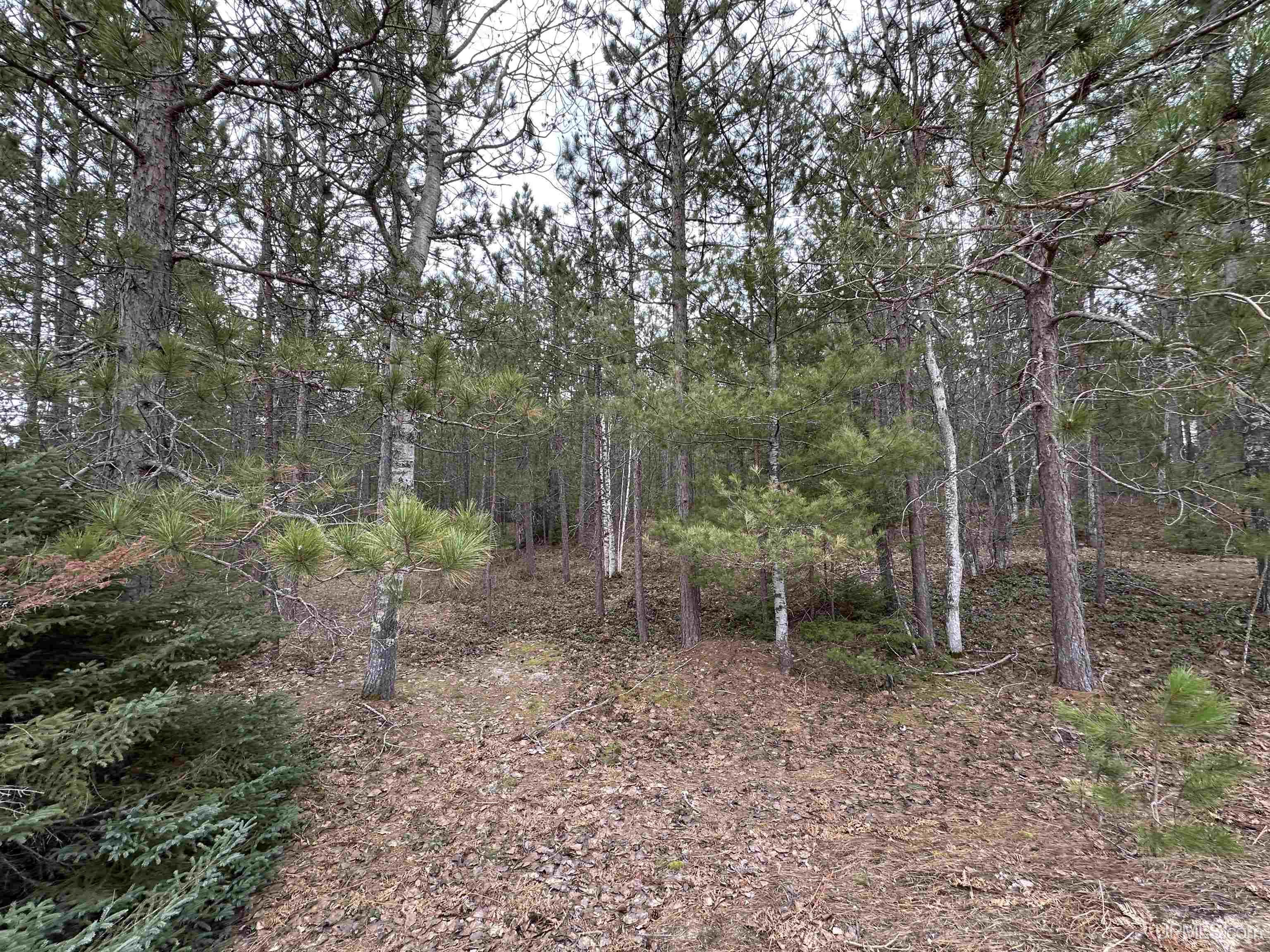 M28 E Road Marquette, MI 49855 - Photo 8 of 15